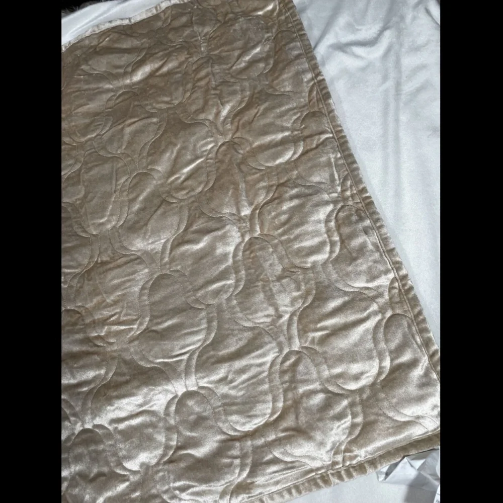 NIB‎ Hotel Collection Contour Velvet Euro Sham